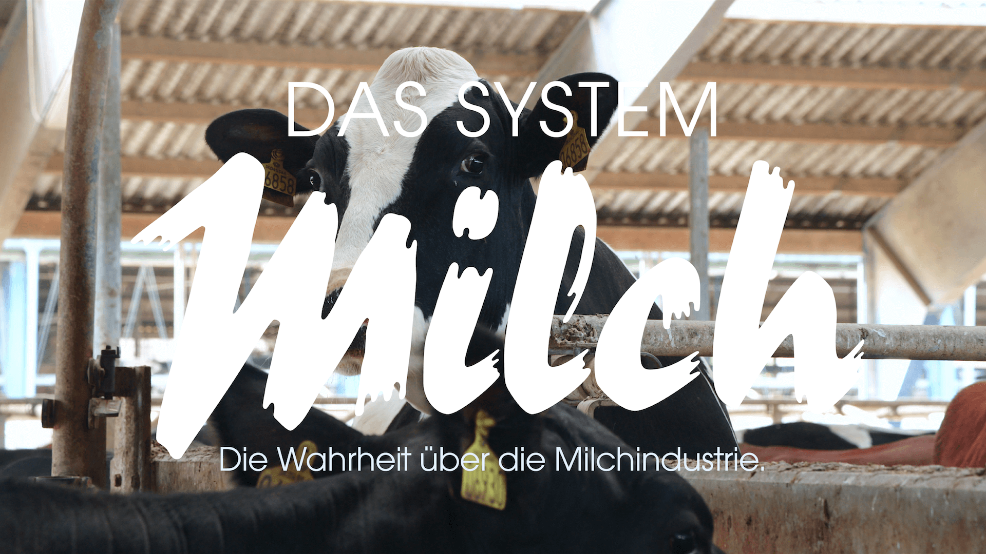 Das System Milch Bild7 edit